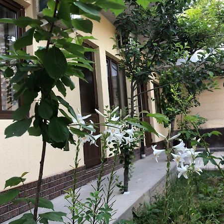 Дом Отель Бадамзар Tashkent Bagian luar foto